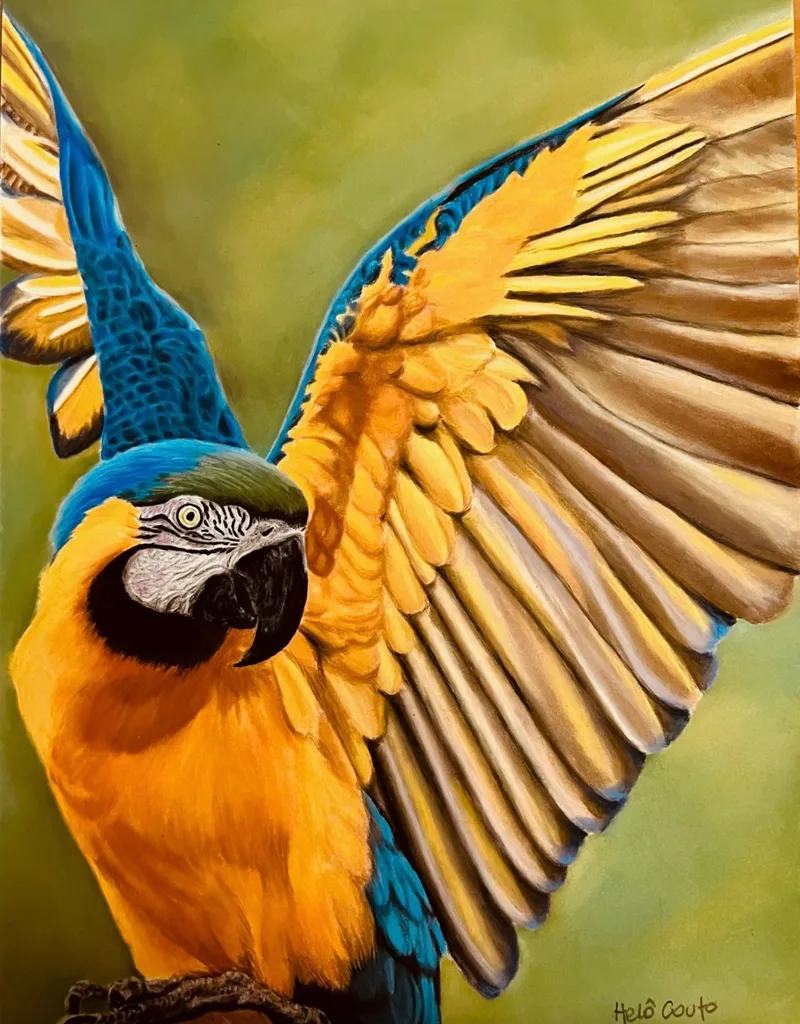 Arara canindé