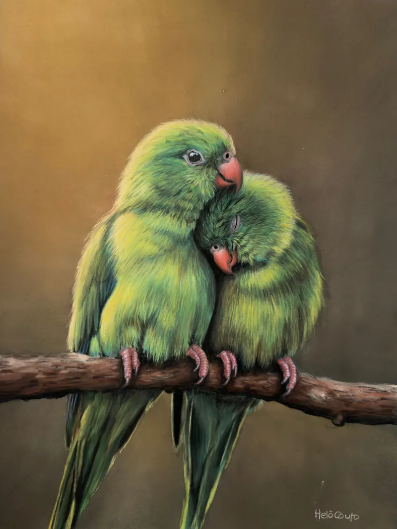Casal periquitos