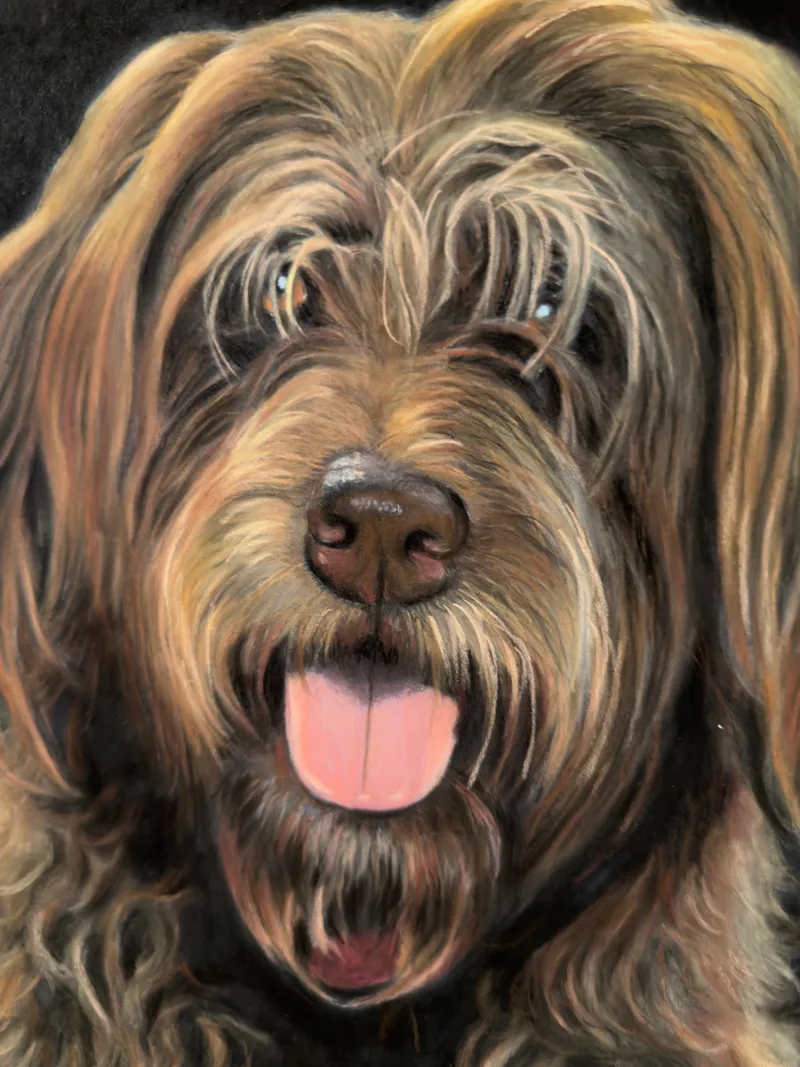 Cachorro teste