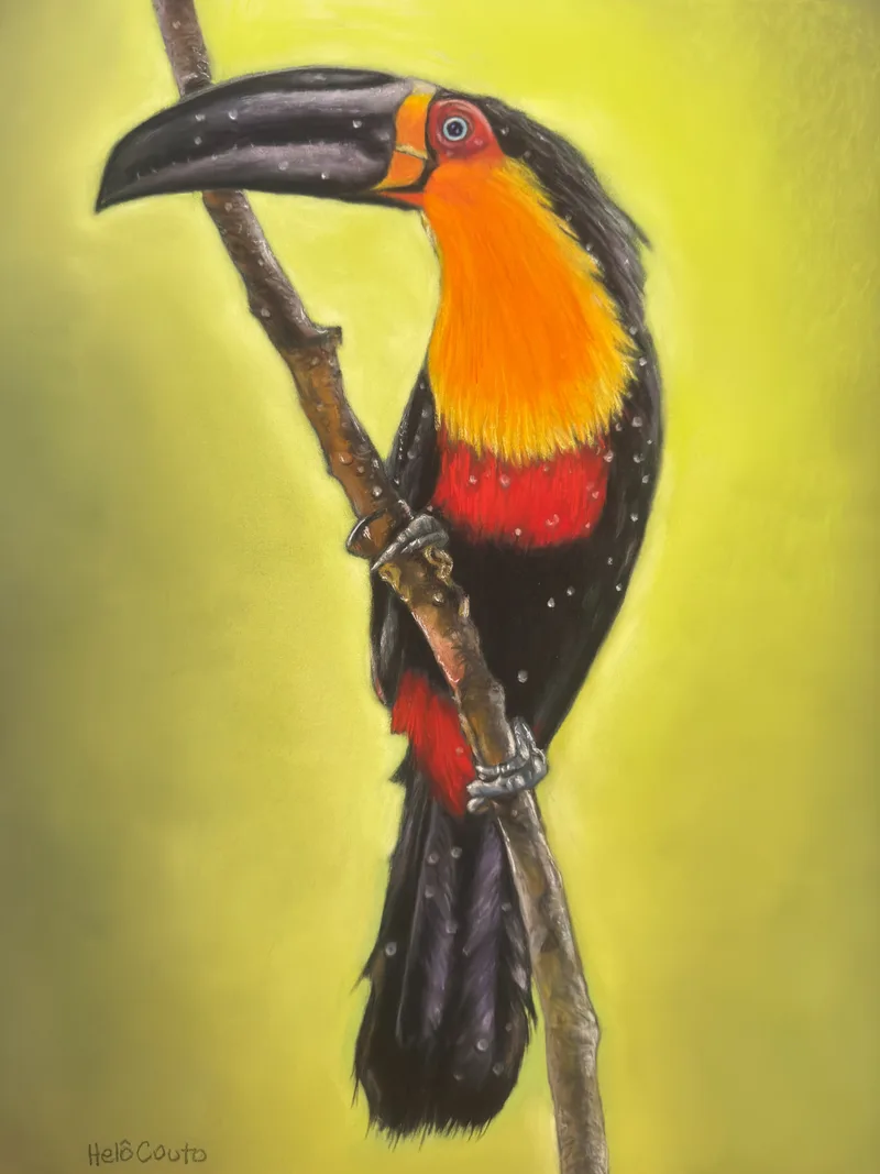 Tucano de bico verde